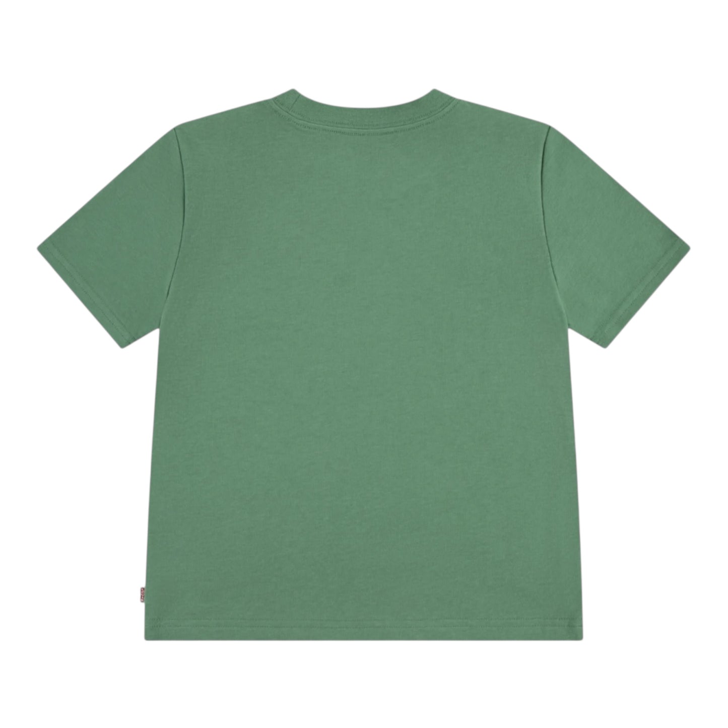 Levi's - Grass green crew neck T-shirt with LS Levi’s embroidery (4-14rs)