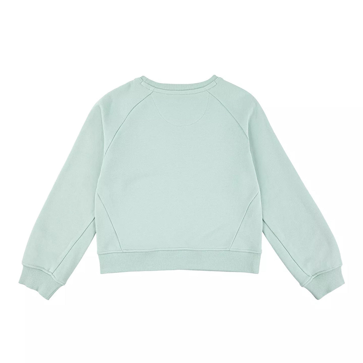 Levi's - Mint green sweat top