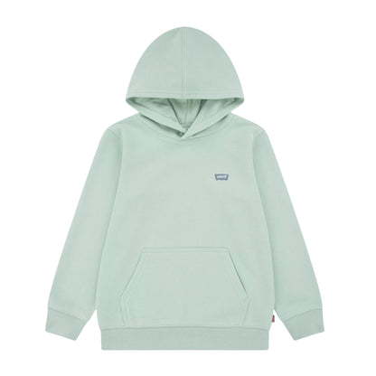 Levi's Green Hoody